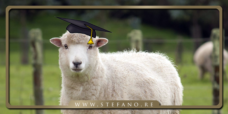 pecore e laureati